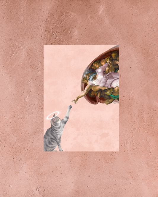 The Creation of Cat – Framed A3 Wall Art | Funny Cat Meme Poster | Boho & Quirky Home Decor Frame for Cat Lovers & Art Enthusiasts