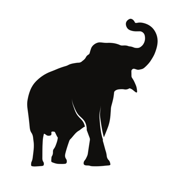 The House of Vasu